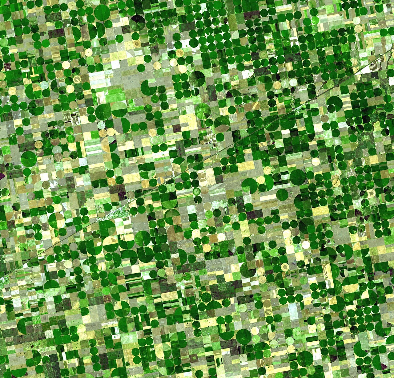 Aerial GIS view of agricultural land showing circular irrigation patterns and rectangular field parcels